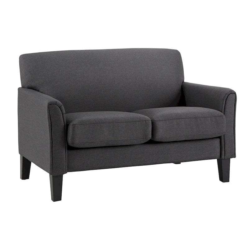 Canapé deux places moderne à dossier coussin