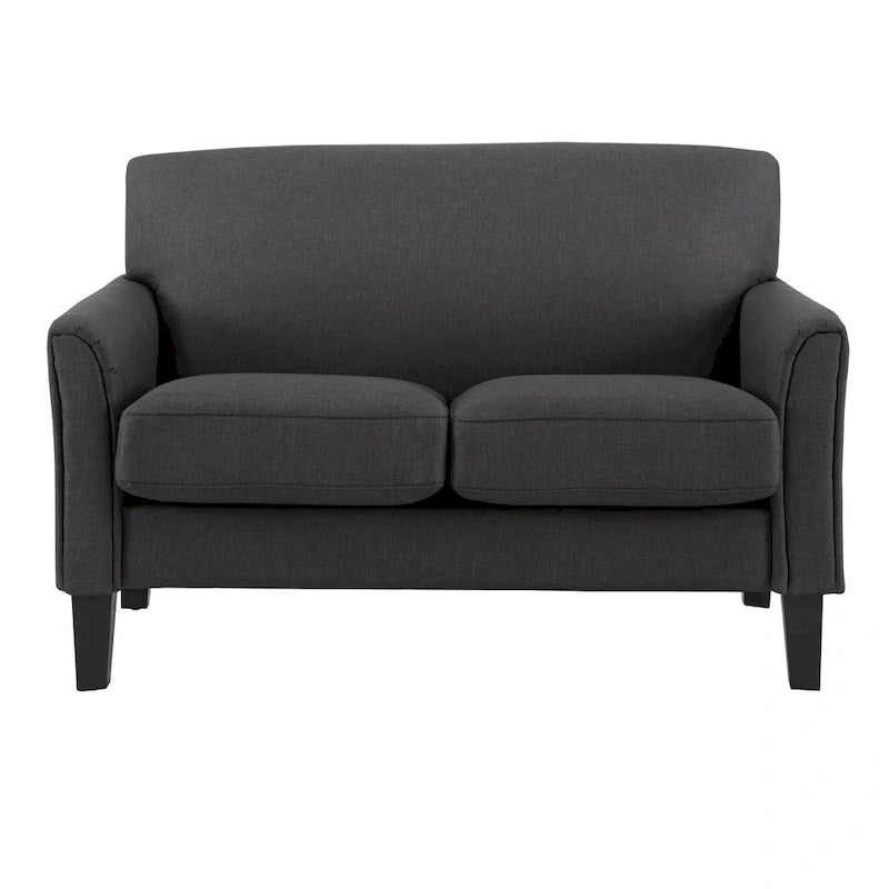 Canapé deux places moderne à dossier coussin